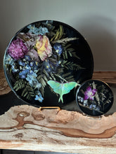 Load image into Gallery viewer, Mini’s and Midi’s