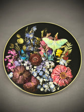 Load image into Gallery viewer, Mini’s and Midi’s