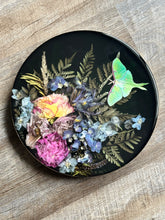 Load image into Gallery viewer, Mini’s and Midi’s