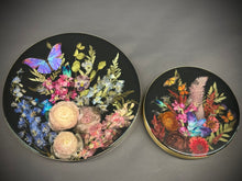 Load image into Gallery viewer, Mini’s and Midi’s