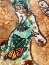 Load image into Gallery viewer, “Milk &amp; Honey” Floral Butterfly Wall Art
