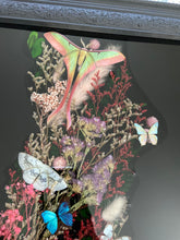 Load image into Gallery viewer, “Rosaline” Floral Butterfly Wall Art
